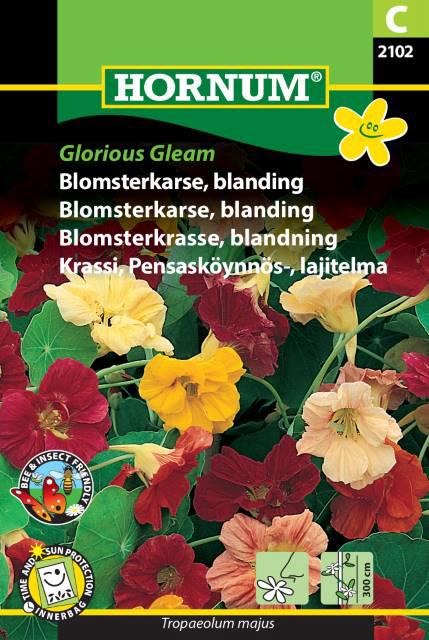 Blomsterkarse, blanding, Glorious Gleam