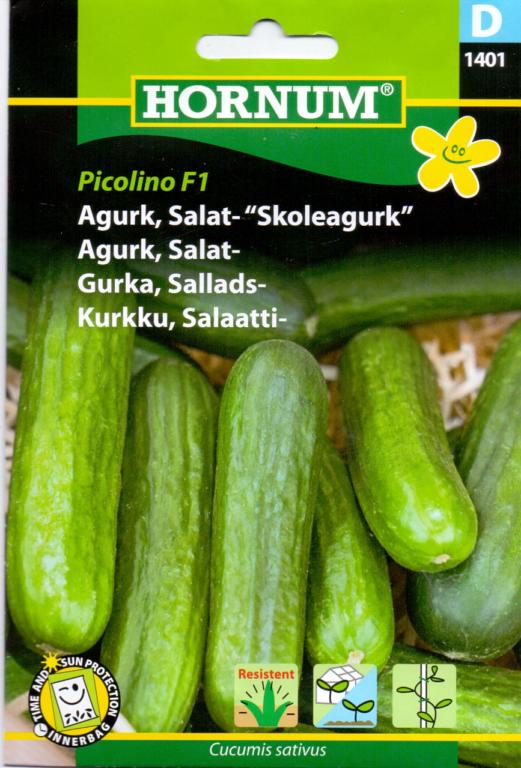 Agurk, Salat- Skoleagurk,Picolino F1 (D)