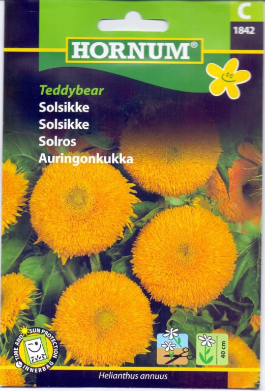 Solsikke, Teddybear