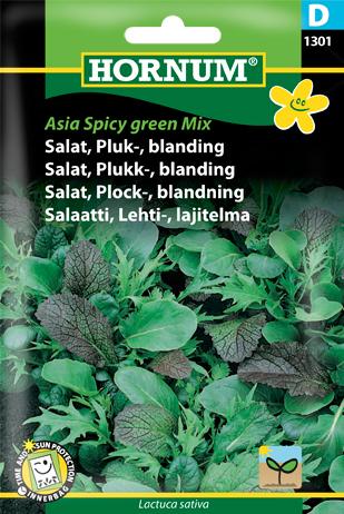 Salat, Pluk-, blanding, Asia Spicy Green