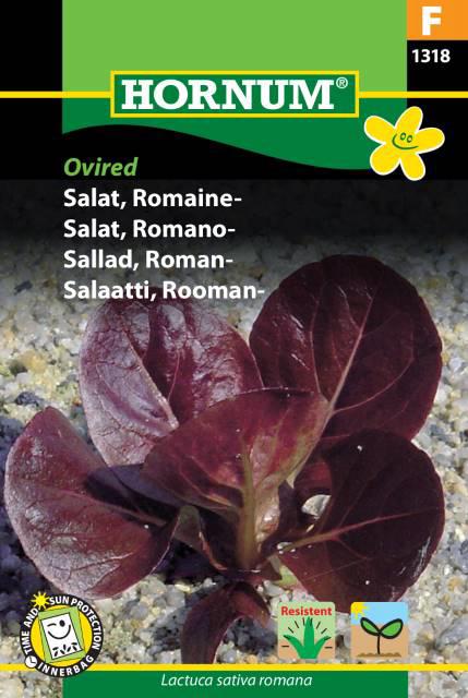 Salat, Romaine-, Ovired