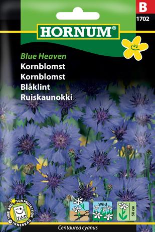 Kornblomst, Blue Heaven