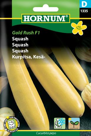Squash, Gold Rush F1 (D)
