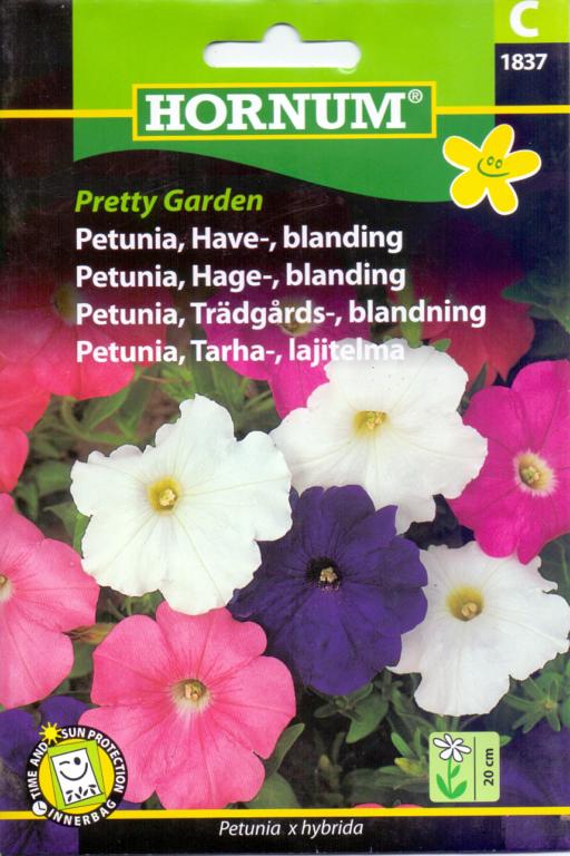 Petunia, Have-, blanding, Pretty Garden